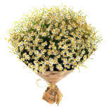 Букет «Адам и Ева»